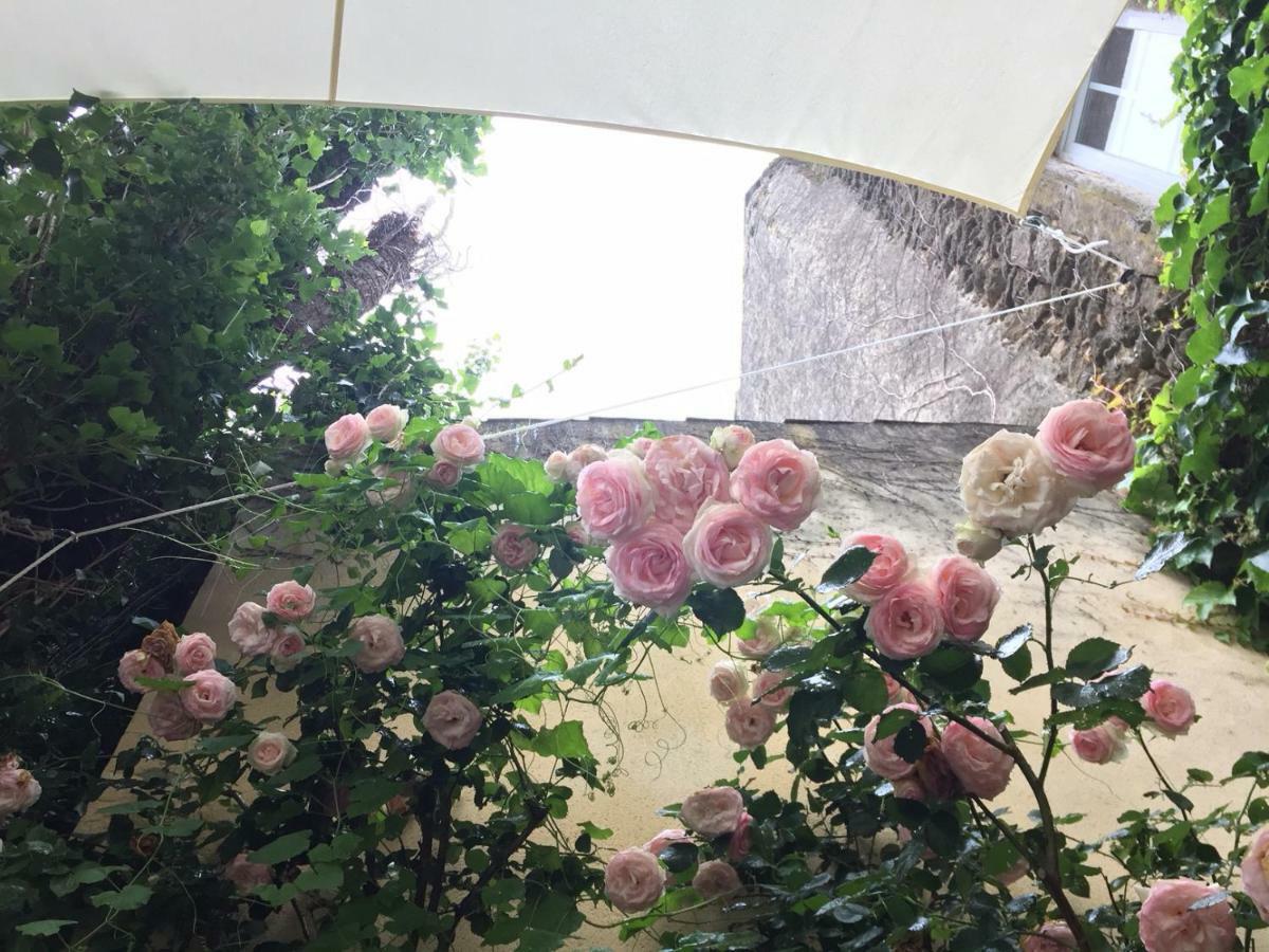 Bed and Breakfast Les Aiguieres En Provence Suze-la-Rousse Exterior foto